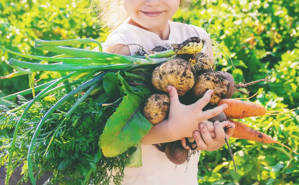 « Jeune Pousse Responsable » : éduquer les enfants à l’alimentation durable