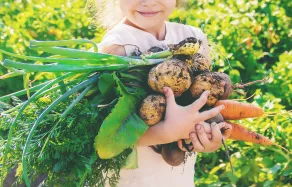 « Jeune Pousse Responsable » : éduquer les enfants à l’alimentation durable
