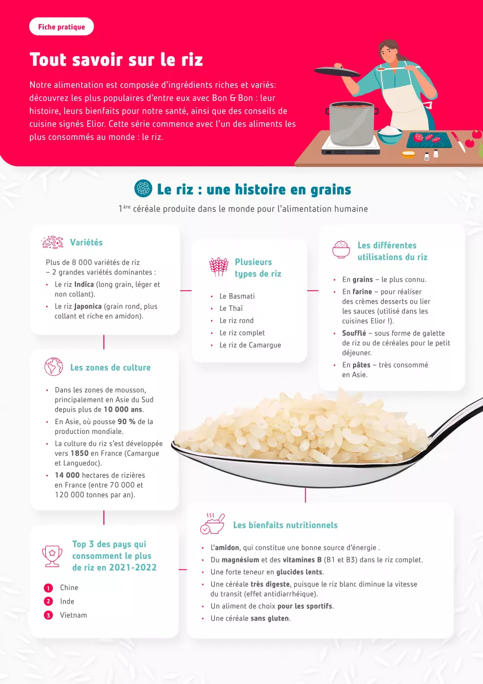 Tout savoir sur le riz