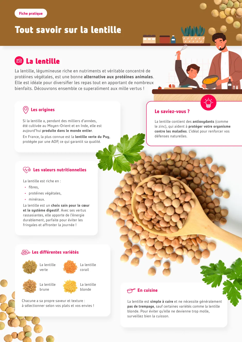 tout savoir lentille