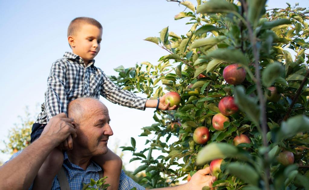 Pourquoi manger des fruits et légumes de saison