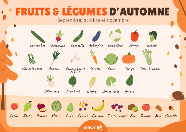 Calendrier des fruits et légumes d'automne