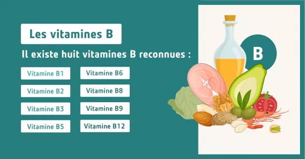 Les vitamines B