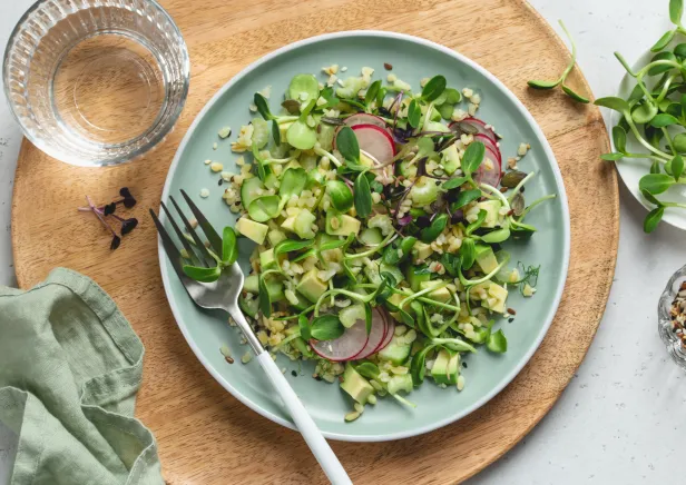 salade boulgour radis petit pois concombre